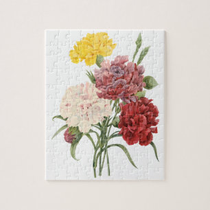 Quebra-cabeça Cravos Antigos Dianthus Flores de Jardim Redoute