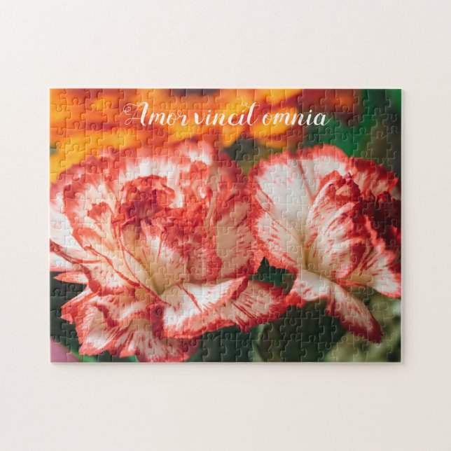 Quebra-cabeça Cravos e gerbera riscados (Horizontal)