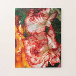 Quebra-cabeça Cravos e gerbera riscados