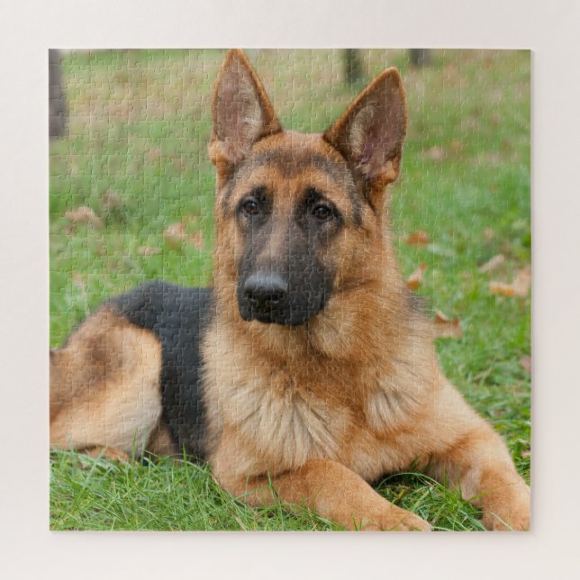 Quebra-cabeça Create Your Own Pet Photo Custom Picture (Vertical)