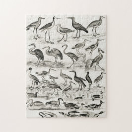 Quebra-cabeça Crédito de Cobrança de Pássaros Ornitológicos Pret