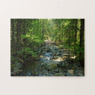 Quebra-cabeça Creek de Água Raiva no Parque Nacional de Monte Ra