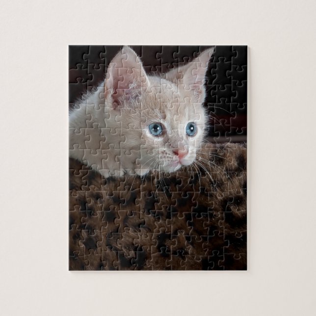 Quebra-cabeça Creme Kitten com Belos Olhos Azuis (Vertical)