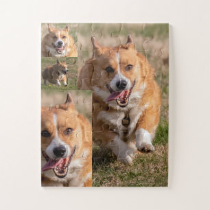 Quebra-cabeça Crianças do Corgi