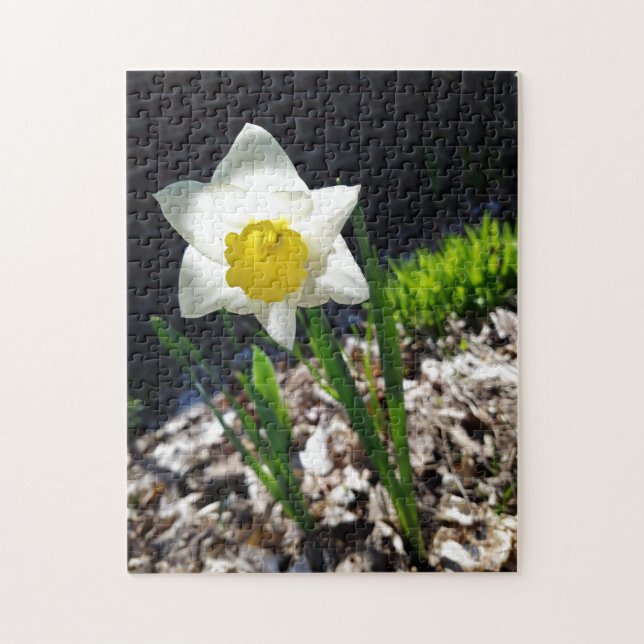 Quebra-cabeça criativo de jardim de narcisos branc (Vertical)