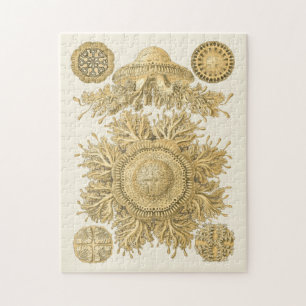 Quebra-cabeça Criaturas do Mar do ouro