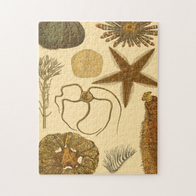 Quebra-cabeça Criaturas do Mar Subaquático (Vertical)