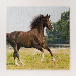 Quebra-cabeça Crie a Foto do Seu Próprio Cavalo de Estimação Per