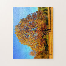 Crie sua própria foto