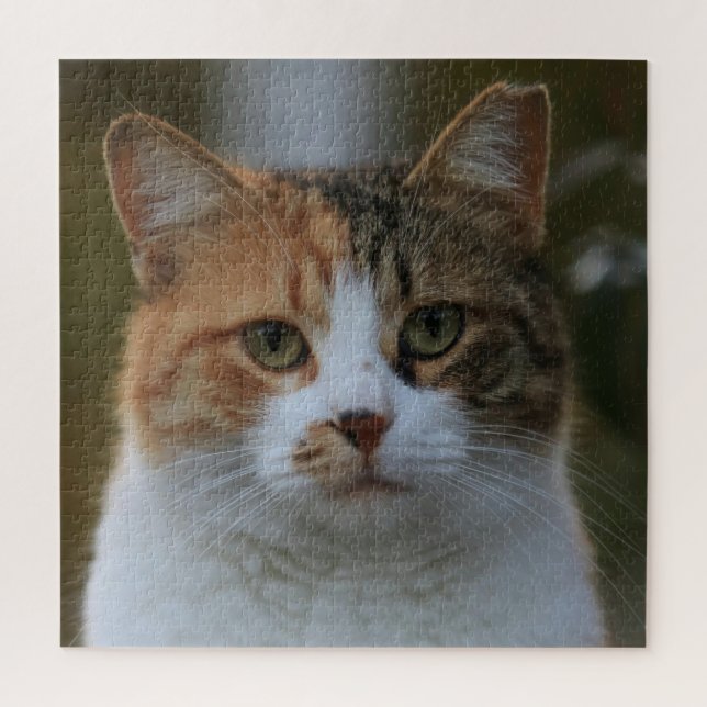 Quebra-cabeça Crie Sua Própria Foto Personalizada de Gato de Est (Vertical)
