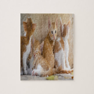 Quebra-cabeça Cristóvão Laranja e Branco/Adiciona a Foto do Seu