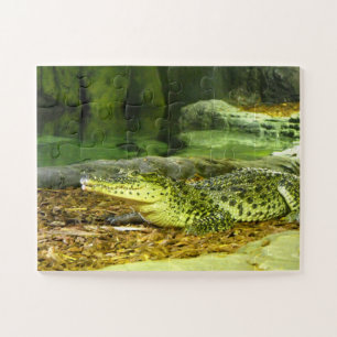 Quebra-cabeça Crocodilo cubano
