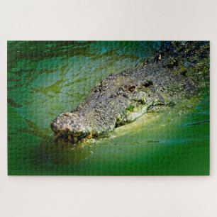 Quebra-cabeça Crocodilo de água salgada em águas pantanosas