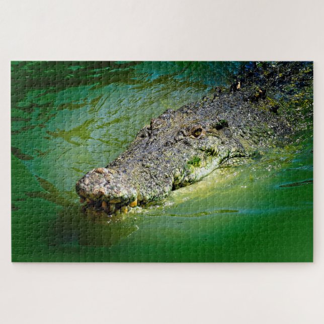 Quebra-cabeça Crocodilo de água salgada em águas pantanosas (Horizontal)