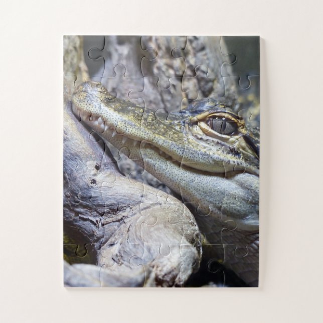 Quebra-cabeça Crocodilo De Bebê Brega Bastante Bastante Sorrindo (Vertical)