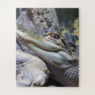 Quebra-cabeça Crocodilo De Bebê Brega Bastante Bastante Sorrindo