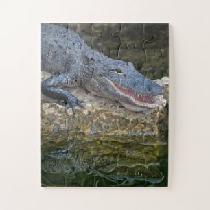 Quebra-cabeça Crocodilo Escuro com Reflexão Clara em Água