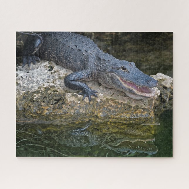 Quebra-cabeça Crocodilo Escuro com Reflexão Clara em Água (Horizontal)