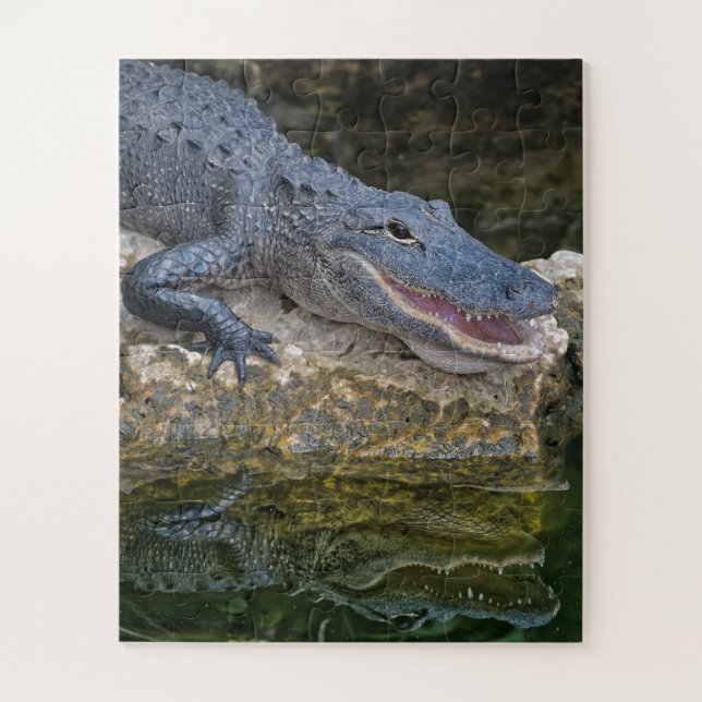 Quebra-cabeça Crocodilo Escuro com Reflexão Clara em Água (Vertical)
