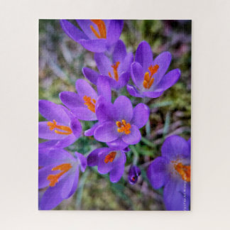 Quebra-cabeça Crocus Fine Art