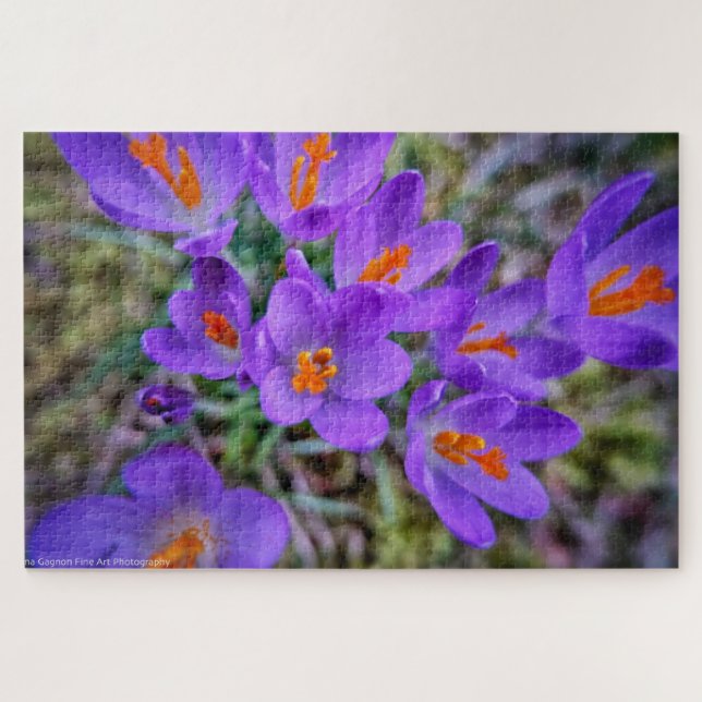 Quebra-cabeça Crocus Fine Art (Horizontal)