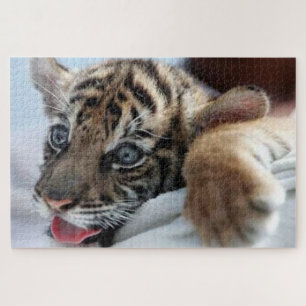 Quebra-cabeça Cubo Bengala Tiger assistindo em uma colina de nev