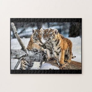 Quebra-cabeça Cubos de Tigre no Play