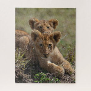 Quebra-cabeça Cubs de Leão Africano Selvagem