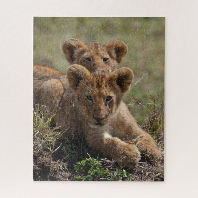 Quebra-cabeça Cubs de Leão Africano Selvagem (Vertical)