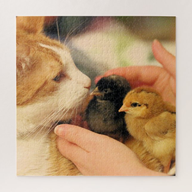 Quebra-cabeça Cuecas (Vertical)