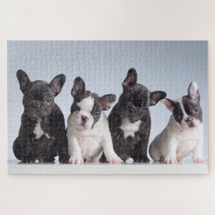 Quebra-cabeça Cuppies de Bulldog Francês