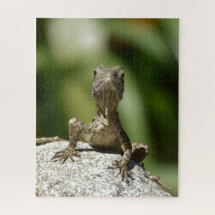 Quebra-cabeça Curioso Juvenile Lizard