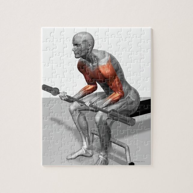 Quebra-cabeça Curvas de pulso (Vertical)