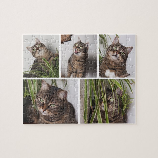 Quebra-cabeça Custom Pet Cat Photo Collage Jigsaw Puzzle (Horizontal)