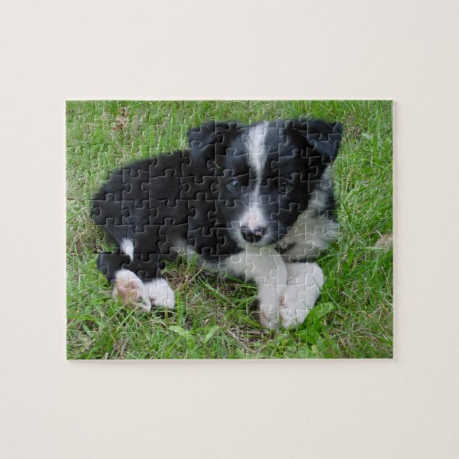 Quebra-cabeça customizável de border collie! (Horizontal)