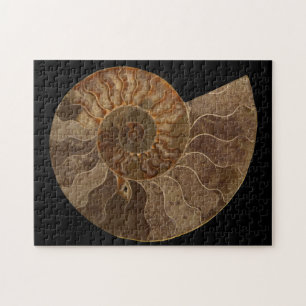 Quebra-cabeça Cut Ammonite Fossil