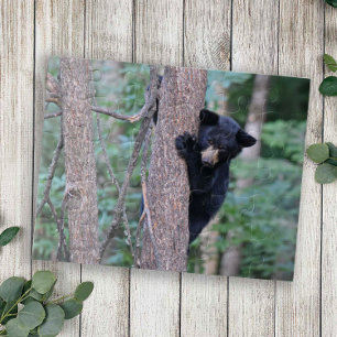 Quebra-cabeça Cute Baby Black Bear Cub Climbing Tree Nature