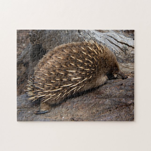 Quebra-cabeça Cute Echidna Austrália, Childrens 252 pedaços (Horizontal)