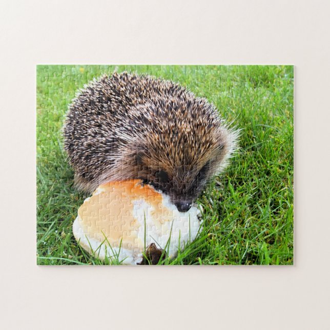 QUEBRA-CABEÇA CUTE HEDGEHOG (Horizontal)