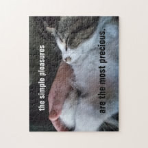 Cute Kitten Cote Simples Agradece Mais Precioso