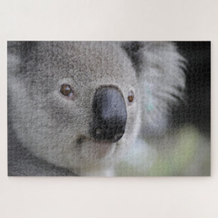 Quebra-cabeça Cute Koala Face Marsupial Animal Nature Austrália