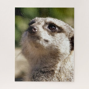 QUEBRA-CABEÇA CUTE MEERKAT