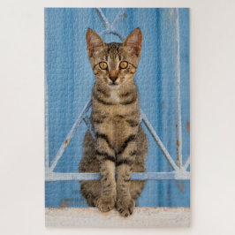 Quebra-cabeça Cute Nosy Tabby Cat Kitten Sitting in a Blue Fence