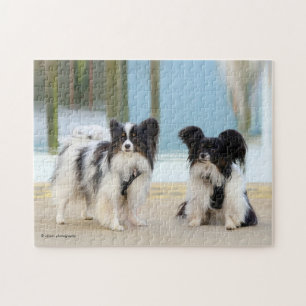 Quebra-cabeça Cute Papillon Toy Spaniels Cães na Boca