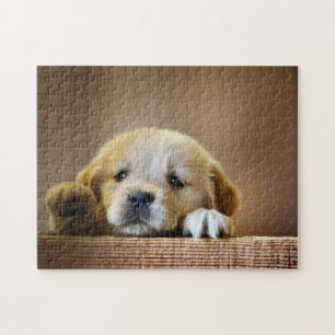 Quebra-cabeça - Cute Puppy