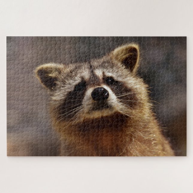 Quebra-cabeça Cute Racoon (Horizontal)