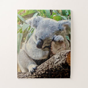 Quebra-cabeça Cute Sleeping Koala