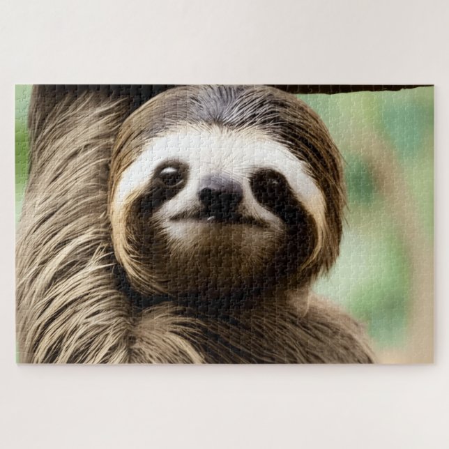 Quebra-cabeça Cute sloth background (Horizontal)