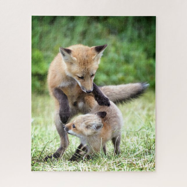 Quebra-cabeça Cutest Baby Animals | Adorable Fox Kit & Mama (Vertical)