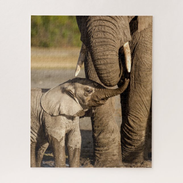 Quebra-cabeça Cutest Baby Animals | Baby Elephant & Mama (Vertical)